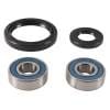 ABR Wheel Bearing Kits thumbnail 2