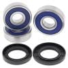 ABR Wheel Bearing Kits thumbnail 4