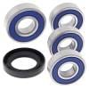 ABR Wheel Bearing Kits thumbnail 19