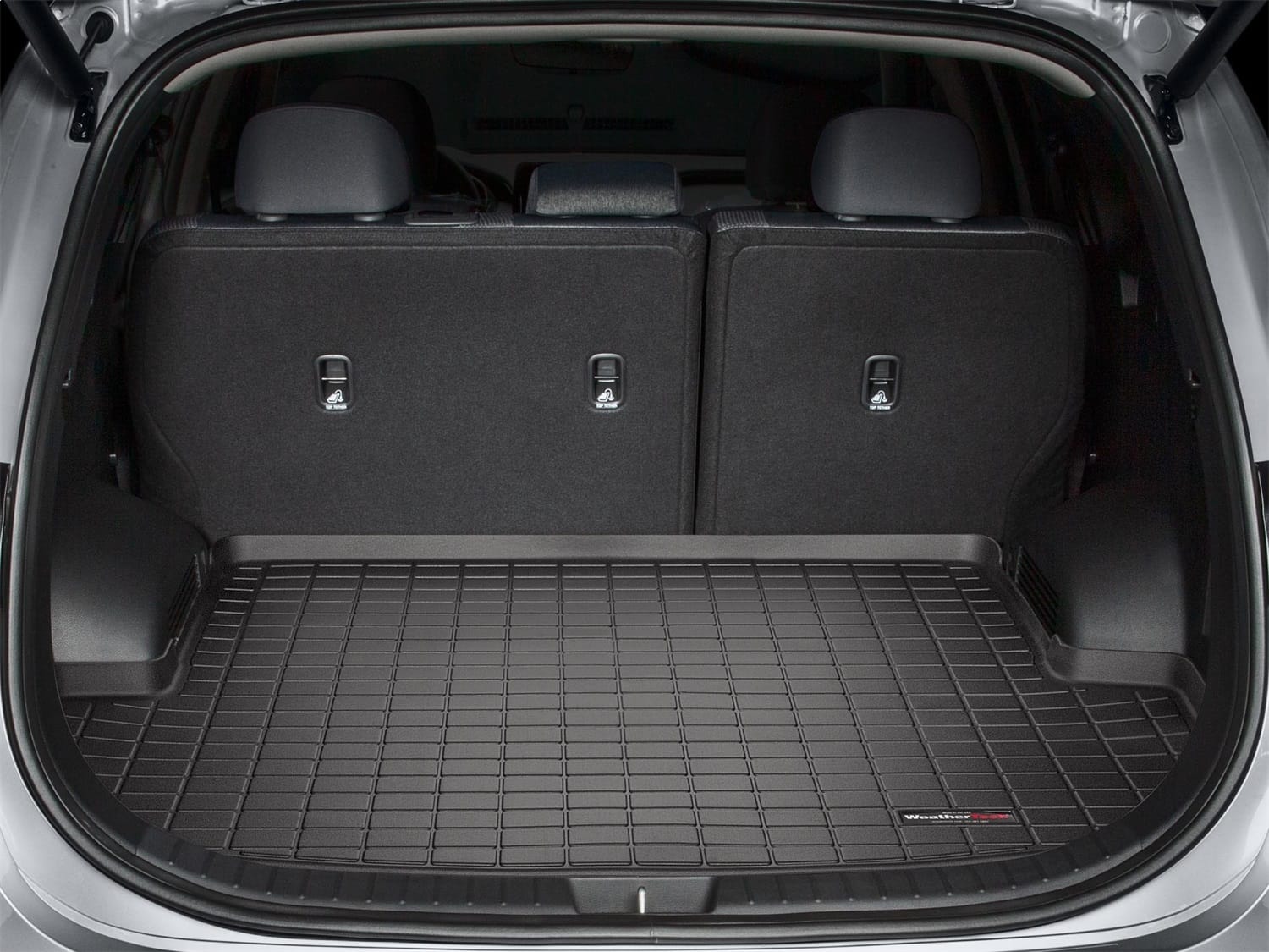 Cargo Liner